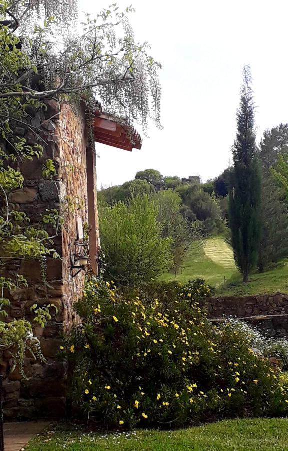 Can Pedragos Sales de Llierca Exterior photo